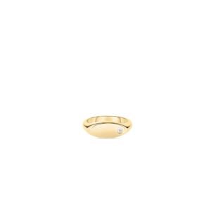 18K Yellow Gold Designer Gold Small Diamond Signet Ring