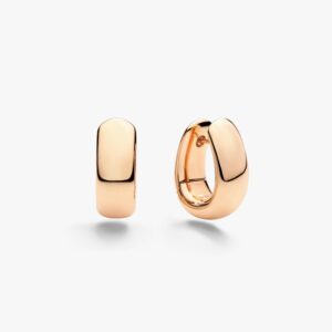 Iconica Earrings